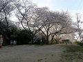 P4030365
