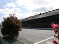 P3030546